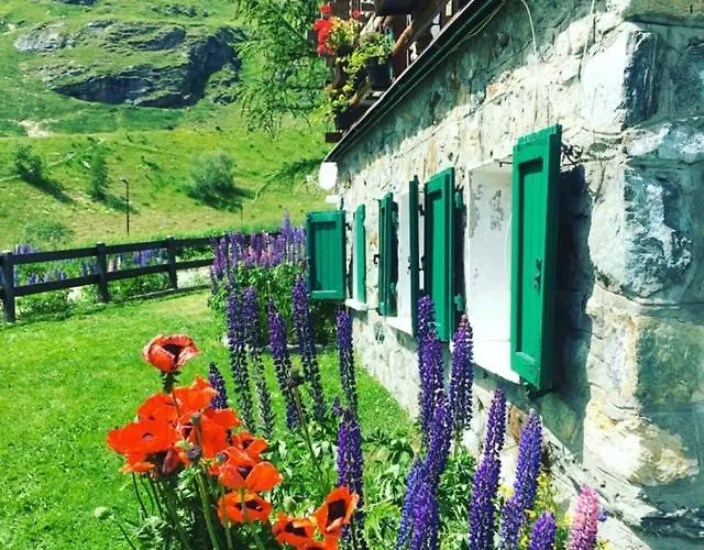 At The Foot Of Cervino Cir 0832 Cin Itoo7071c2k3fq9xbg * Breuil-Cervinia